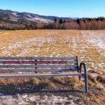 Ławka dla zakochanych seniorów, Zalesie szlak czarny na Modyń