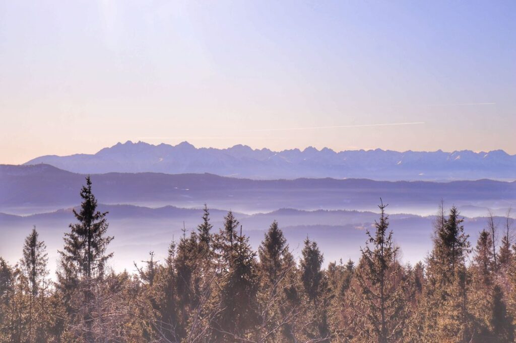 Modyń, widok na Tatry