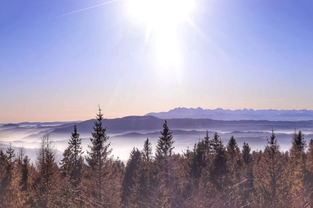 Modyń, widok na Tatry, wieża widokowa