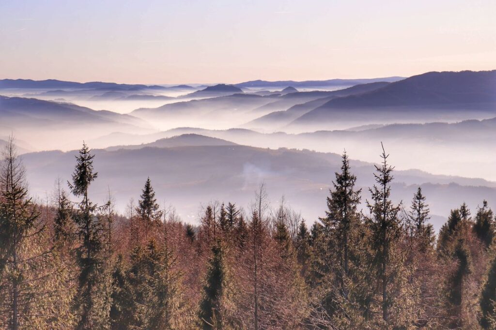 Modyń, widok z wieży widokowej