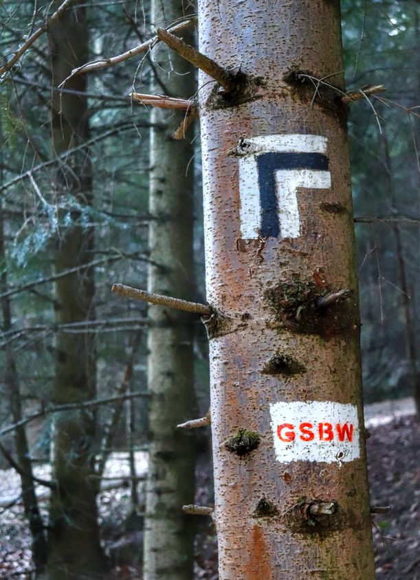 Drzewo, oznaczenie skrętu szlaku czarnego w prawo