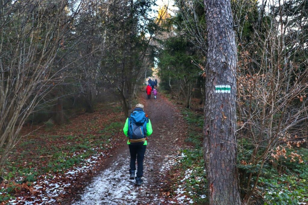 Ścieżka leśna, turyści w drodze na wieżę widokową na Skiełku