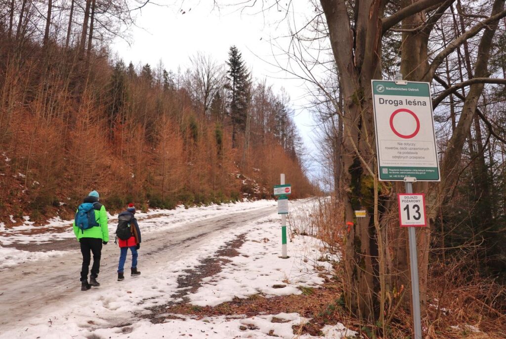 Szeroka idąca w górę droga Leśna na szlaku żółtym w Brennej Leśnicy, turyści