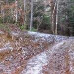 Szeroka droga leśna na czarnym szlaku na Modyń