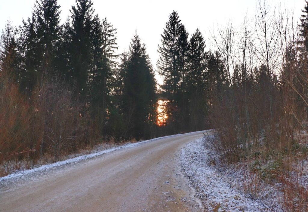 Szeroka i wygodna droga idąca w górę, szlak niebieski - Czerne, Słowacja