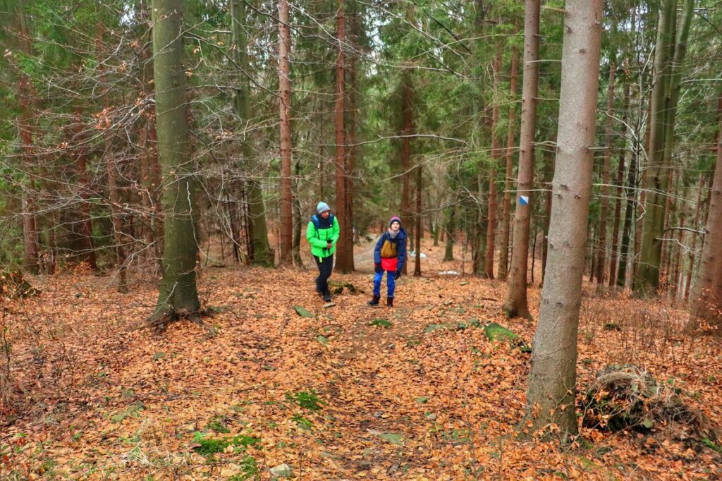 Turysta z dzieckiem na szlaku spacerowym, las