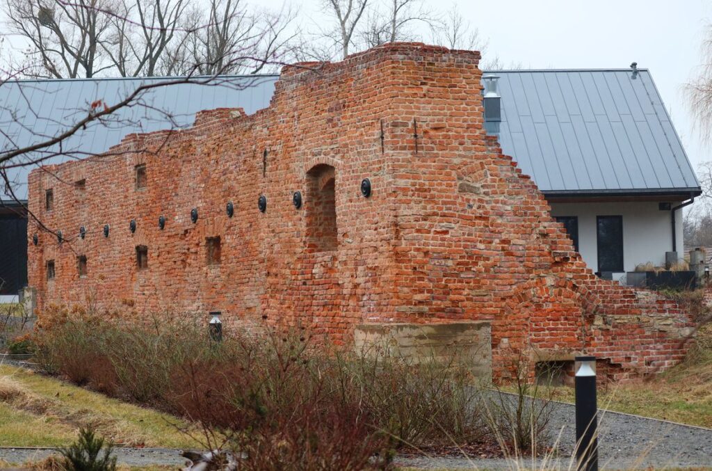 Ruiny Zamku Wilczków w Czechowicach