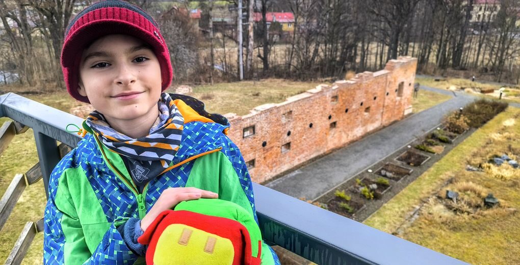 Czechowice wieża widokowa, Ruiny Zamku Wilczków i Aleja Lip
