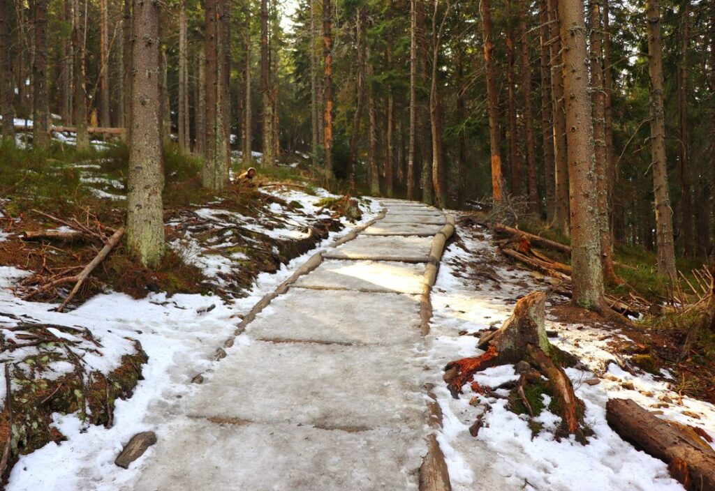 Babiogórski Park Narodowy, las, pokryte śniegiem drewniane schody, szlak na Babią Górę