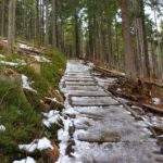 Drewniane, szerokie schody pokryte śniegiem, szlak czerwony na Babią Górę
