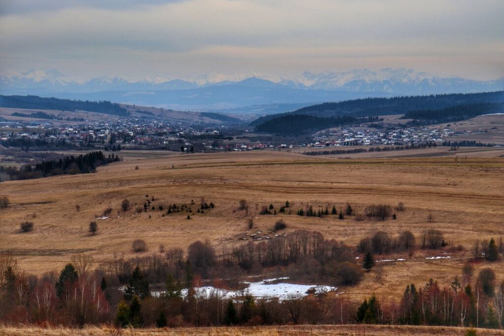 Widok na Tatry z wieży widokowej - Orawska Półgóra