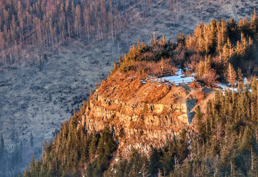 Sokolica, widok z czerwonego szlaku na Babią Górę