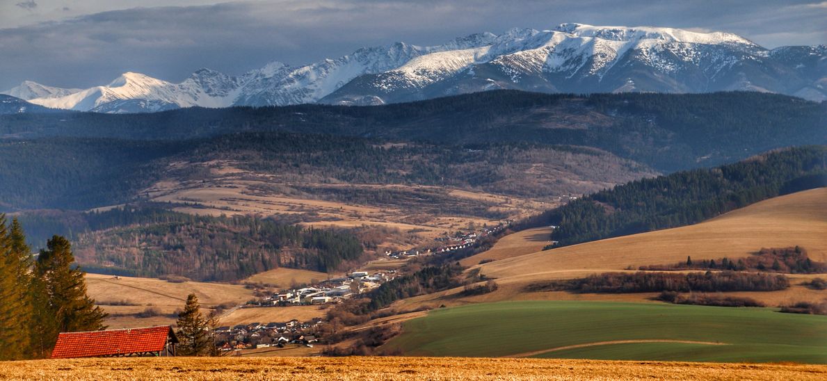 Borova i Uhlisko trasa z Twardoszyna – widok na Tatry, krokusy