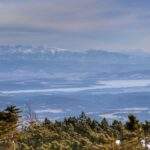 Widok na Tatry z czerwonego szlaku na Babią Górę, kosodrzewina, okolice Kępy