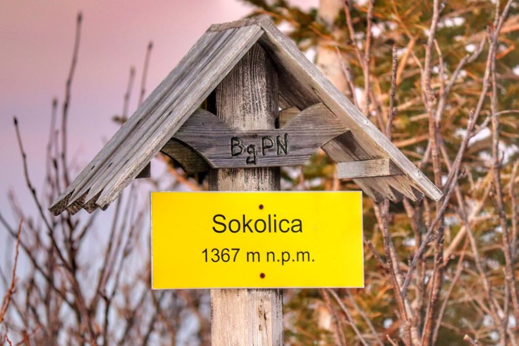 Żółta tabliczka na Sokolicy z napisem Sokolica 1367 m n.p.m.