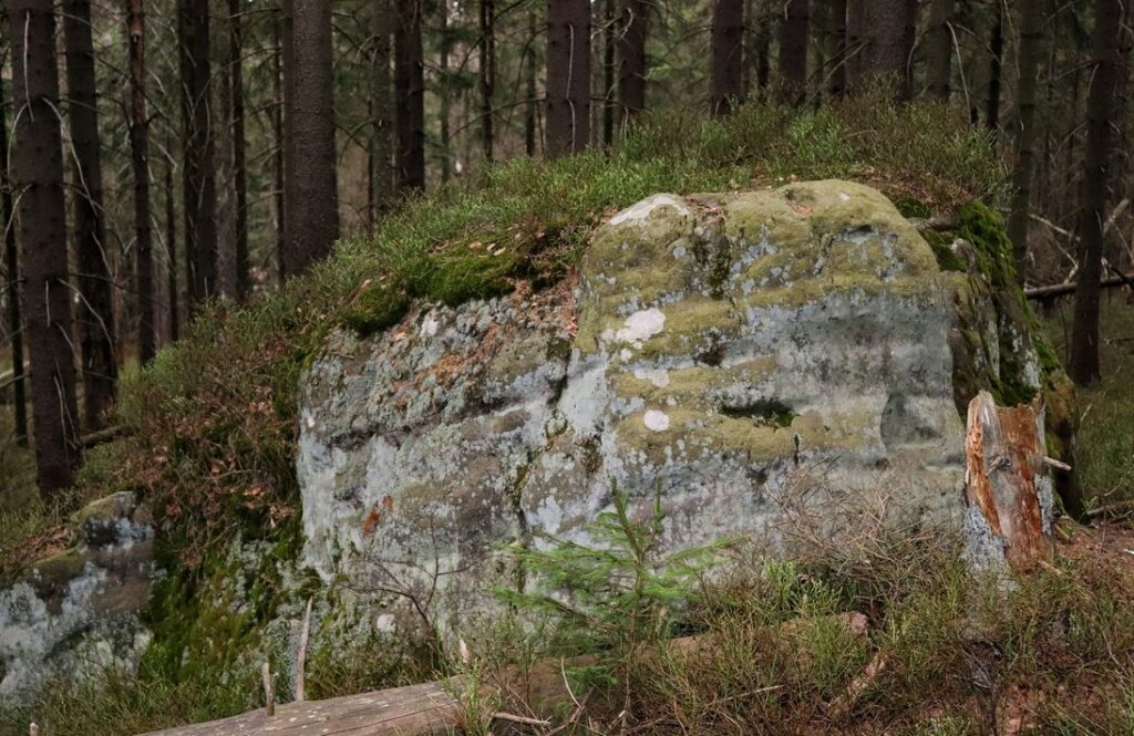 Ciekawa formacja skalna na niebieskim szlaku na Narożnik, las