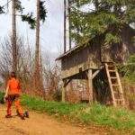 Droga leśna, dziecko, drewniana budka, okolice szczytu Feistův kopec w Czechach