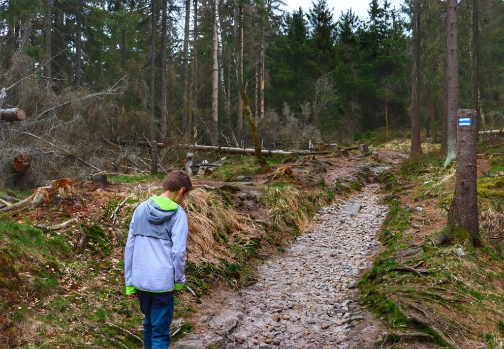 Dziecko na wąskiej i kamienistej ścieżce leśnej, szlak niebieski - Lisia Przełęcz