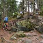 Dziecko z tatą, las, skały, strome podejście ma szlaku niebieskim na Narożnik, Góry Stołowe