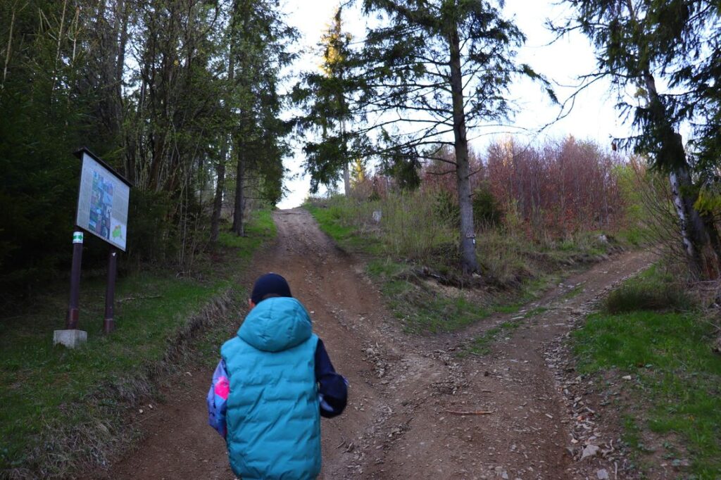 Krusetnica, Słowacja, dziecko, pnąca się w górę droga leśna