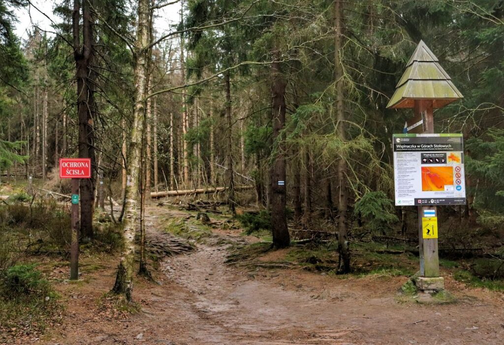 Lisia Przełęcz, szlak niebieski, las, tablica OCHRONA ŚCISŁA, tabliczka - wspinaczka