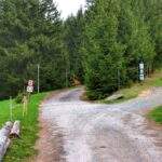 Olesznica w Czechach, szlak zielony - Feistův kopec, szeroka droga, miejsce skrętu szlaku zielonego w prawo na drogę leśną