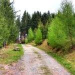 Olesznica w Czechach, szlak zielony, Feistův kopec, tablice