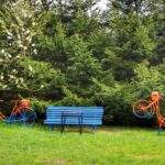 Oleśnica w Czechcach, rowery, ławka, kwiaty