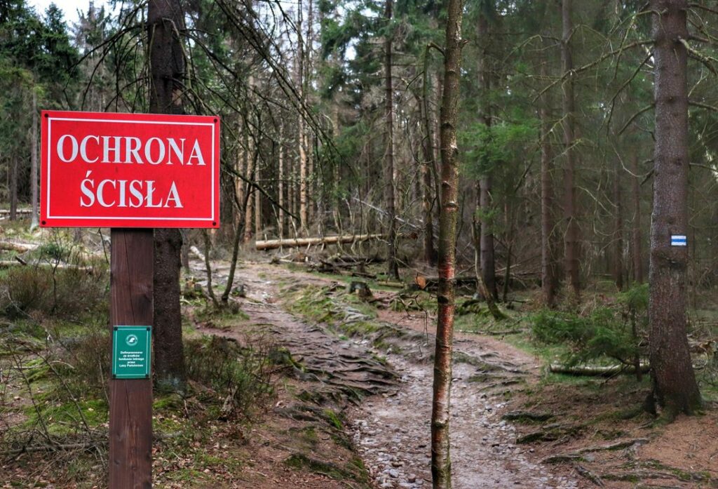 Park Narodowy Gór Stołowych, Lisia Przełęcz szlak niebieski, leśna ścieżka, tablica z napisem Ochrona Ścisła