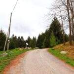 Prowadząca w górę szeroka droga na zielonym szlaku w Oleśnicy w Czechach