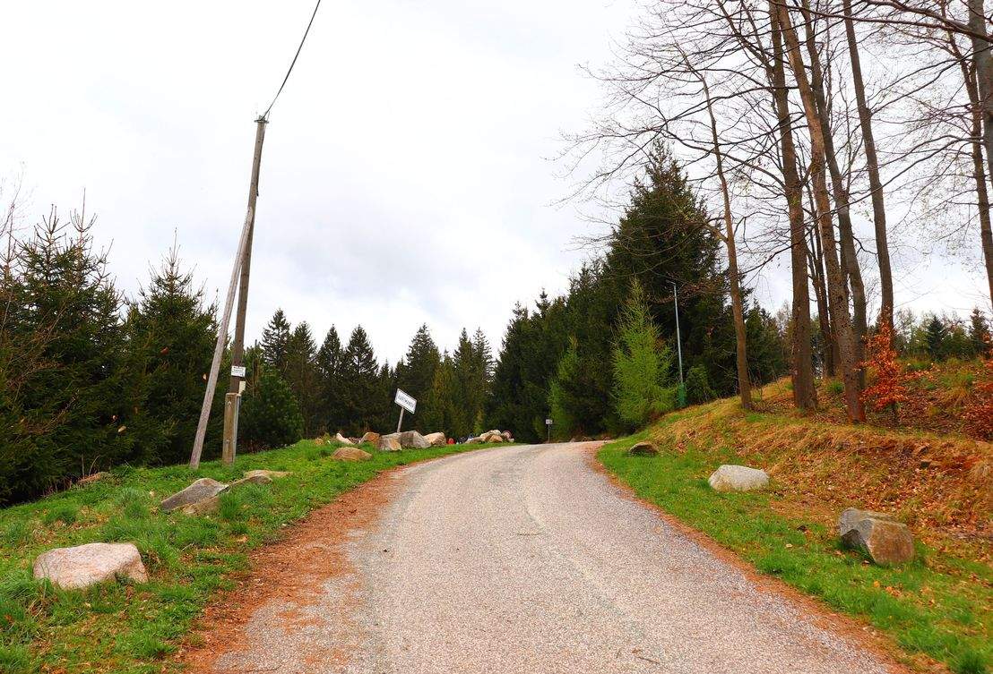 Prowadząca w górę szeroka droga na zielonym szlaku w Oleśnicy w Czechach