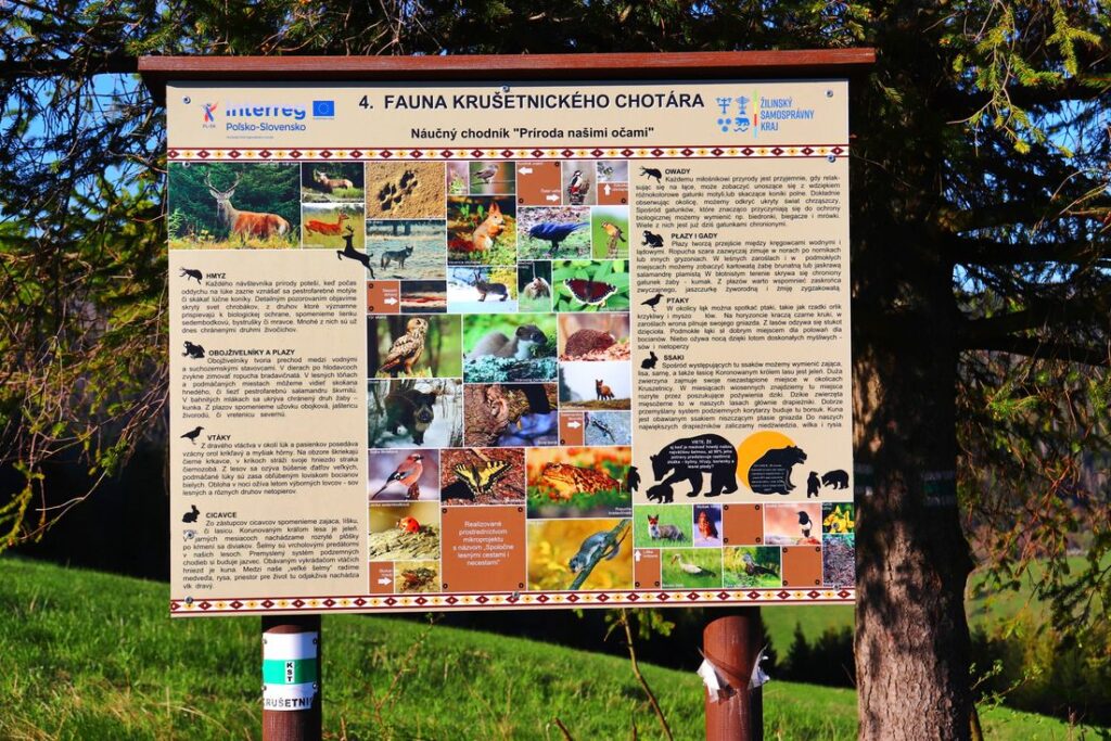 Tablica ścieżki dydaktycznej PRZYRODA NASZYMI OCZAMI - FAUNA