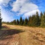 Wiosenna Hala Rysianka