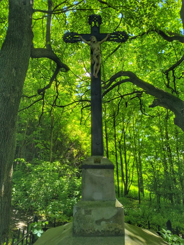 Beskidzki las - Krzyż pod Wróżną - Kříž pod Vružnou