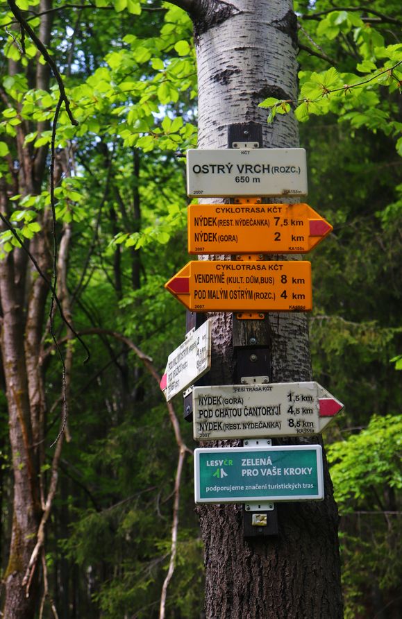 Białe tabliczki, drzewo - Ostrý vrch rozc., Czechy
