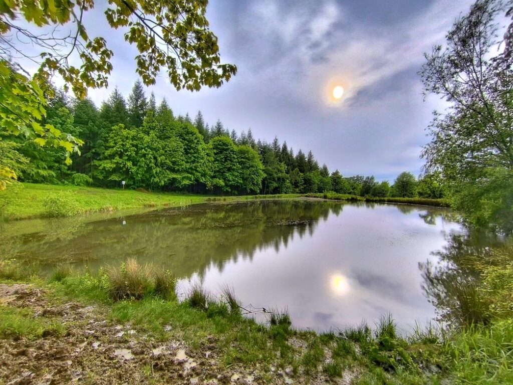Bielsko, staw w Lipniku, słoneczne popołudnie