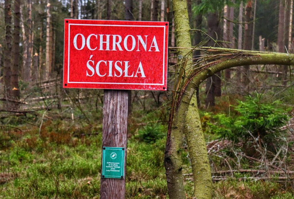 Czerwona tabliczka z białym napisem - OCHRONA ŚCISŁA, teren PARKU NARODOWEGO GÓR STOŁOWYCH, parking Białe Skały - żółty szlak
