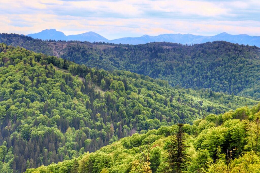 Dedovka - widok z wieży widokowej, Fatra zbliżenie