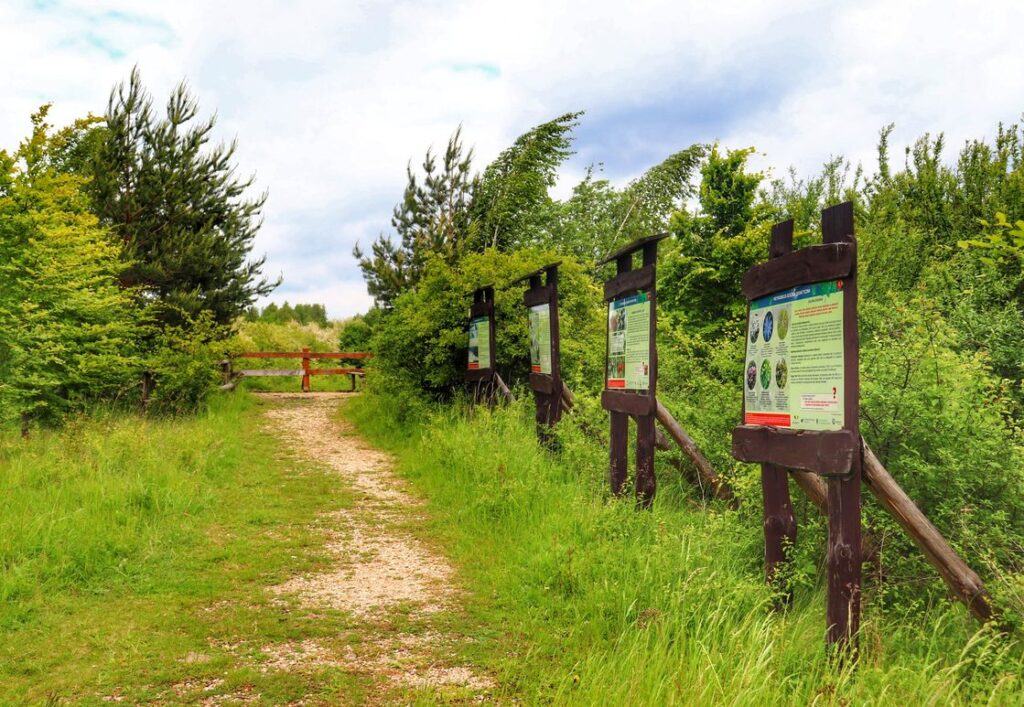 Dojście do punktu widokowego - Park Gródek, Jaworzno
