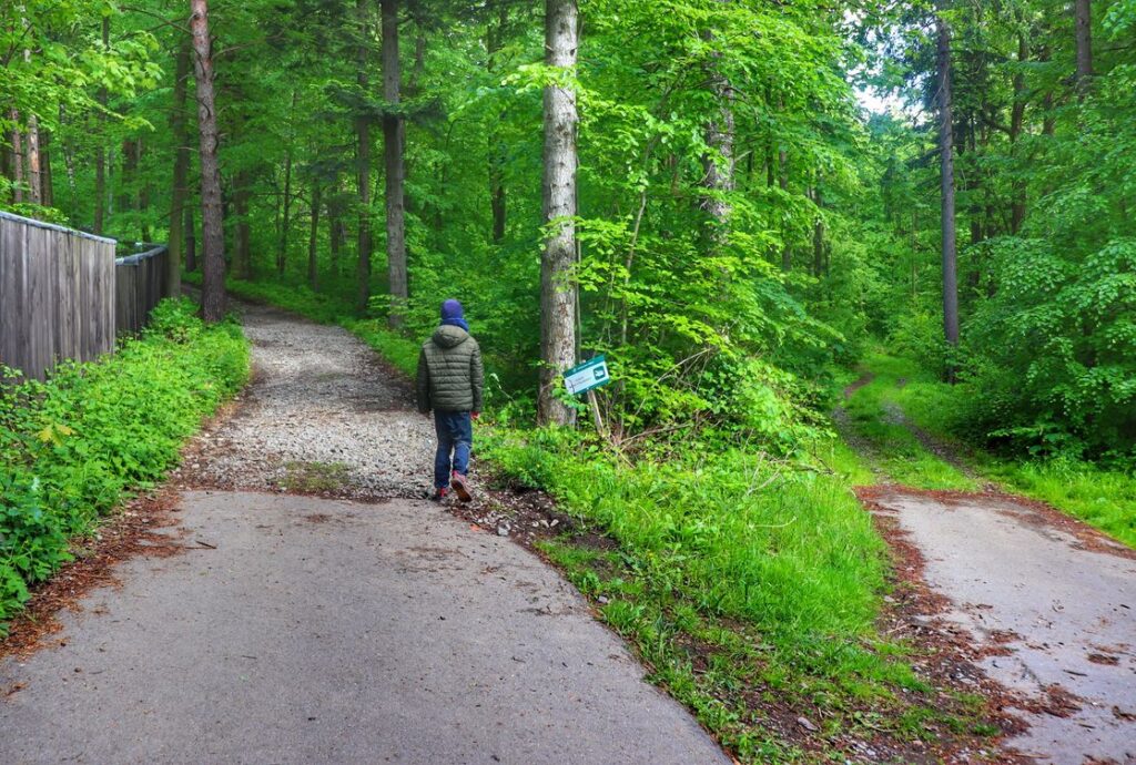 Dziecko, droga leśna - rozwidlenie, zielony szlak w Goleszowie
