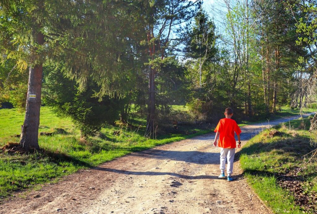 Dziecko idące żółtym szlakiem, szeroka droga leśna - Lipnica Wielka