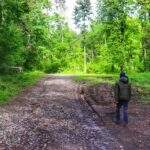 Dziecko, las, czerwony szlak spacerowy Przyroda nie zna granic w Goleszowie