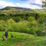 Ostry (Ostrý vrch) szczyt Czechy – szlak z Lesznej Górnej