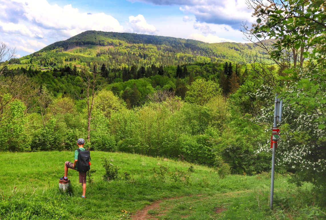 Ostry (Ostrý vrch) szczyt Czechy – szlak z Lesznej Górnej
