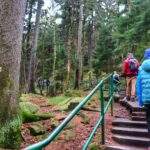 Dziecko, schody, las, żółty szlak na Szczeliniec Wielki