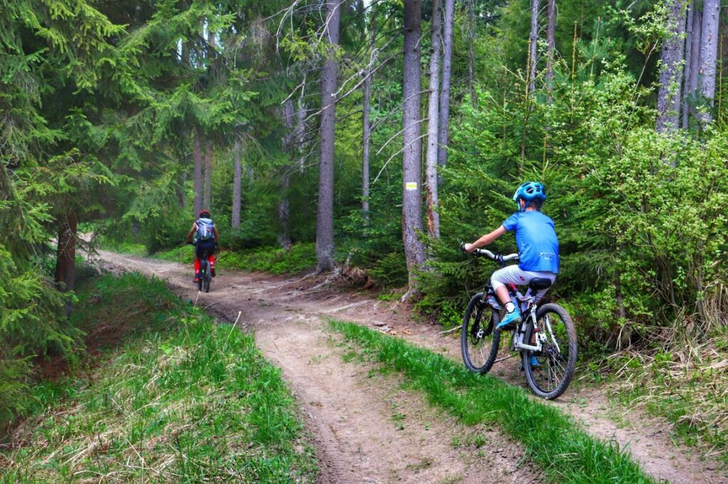 Dziecko z tatą na rowerze na żółtym szlaku w Lipnicy Wielkiej na Orawie, las, szeroka droga
