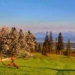 Lipnica Wielka - Marysina Polana, wiosenny krajobraz, Tatry