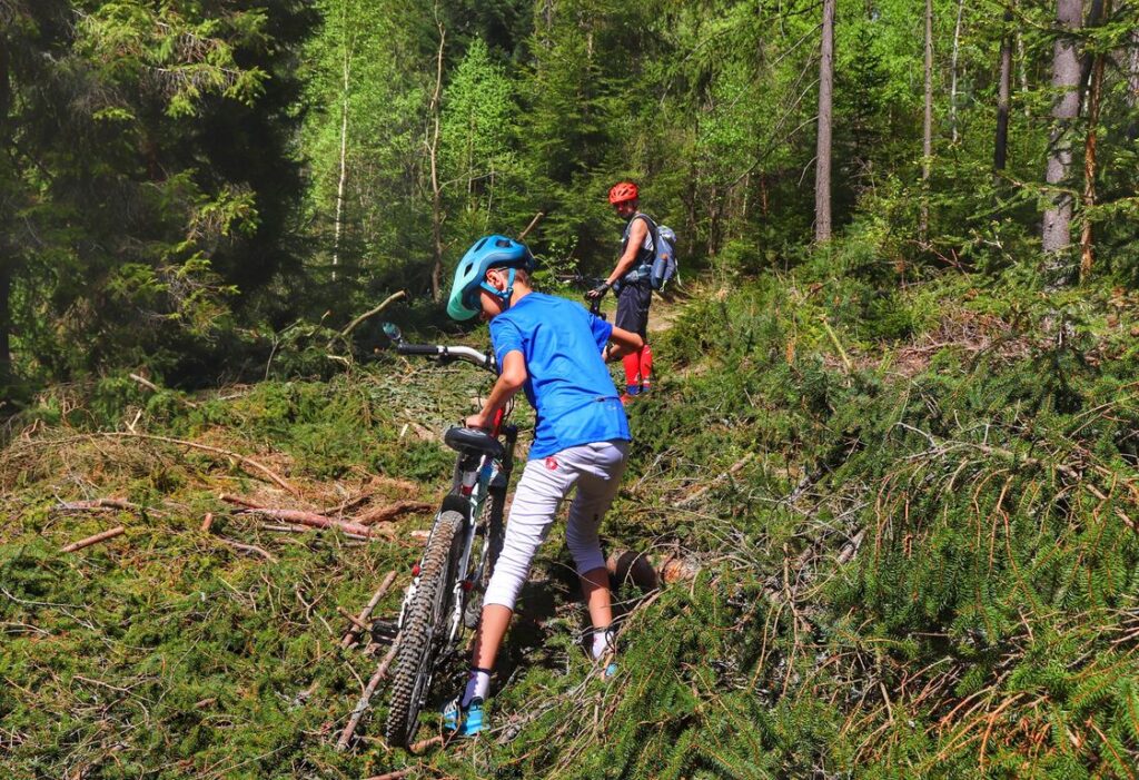 Lipnica Wielka, las, gałęzie na ścieżce leśnej, tata z dzieckiem na rowerze
