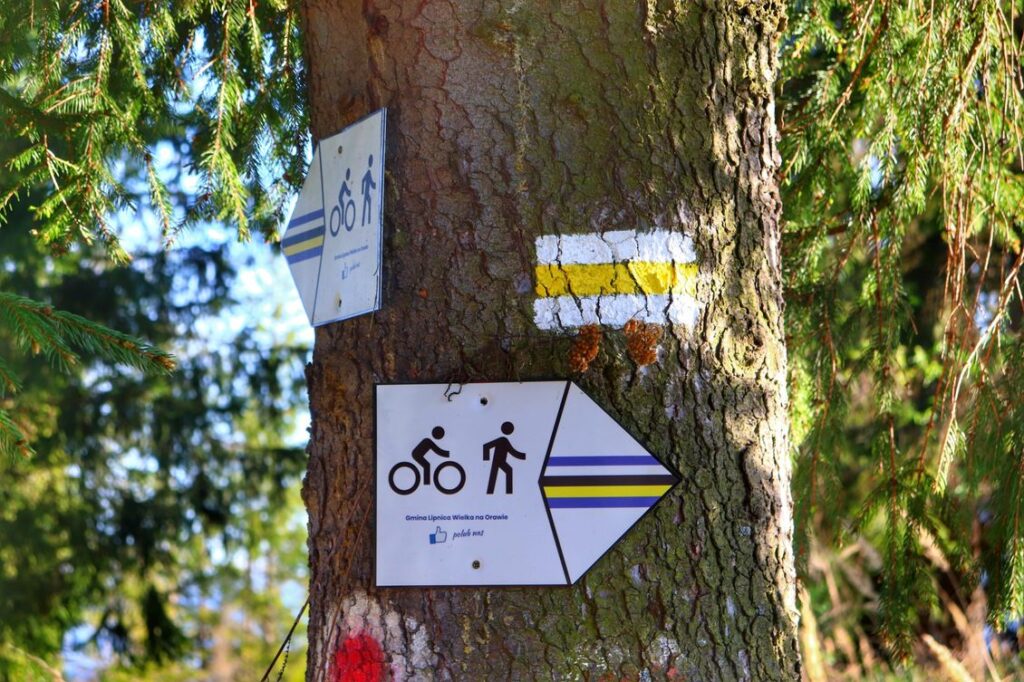 Lipnica Wielka, oznaczenie żółtego szlaku na drzewie