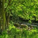 Beskidy, iejsce ogniskowe - Krzyż pod Wróżną - Kříž pod Vružnou